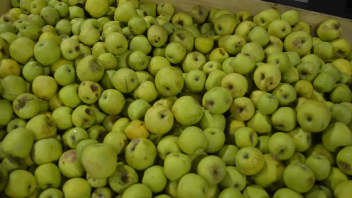 Procesan los productos del campo